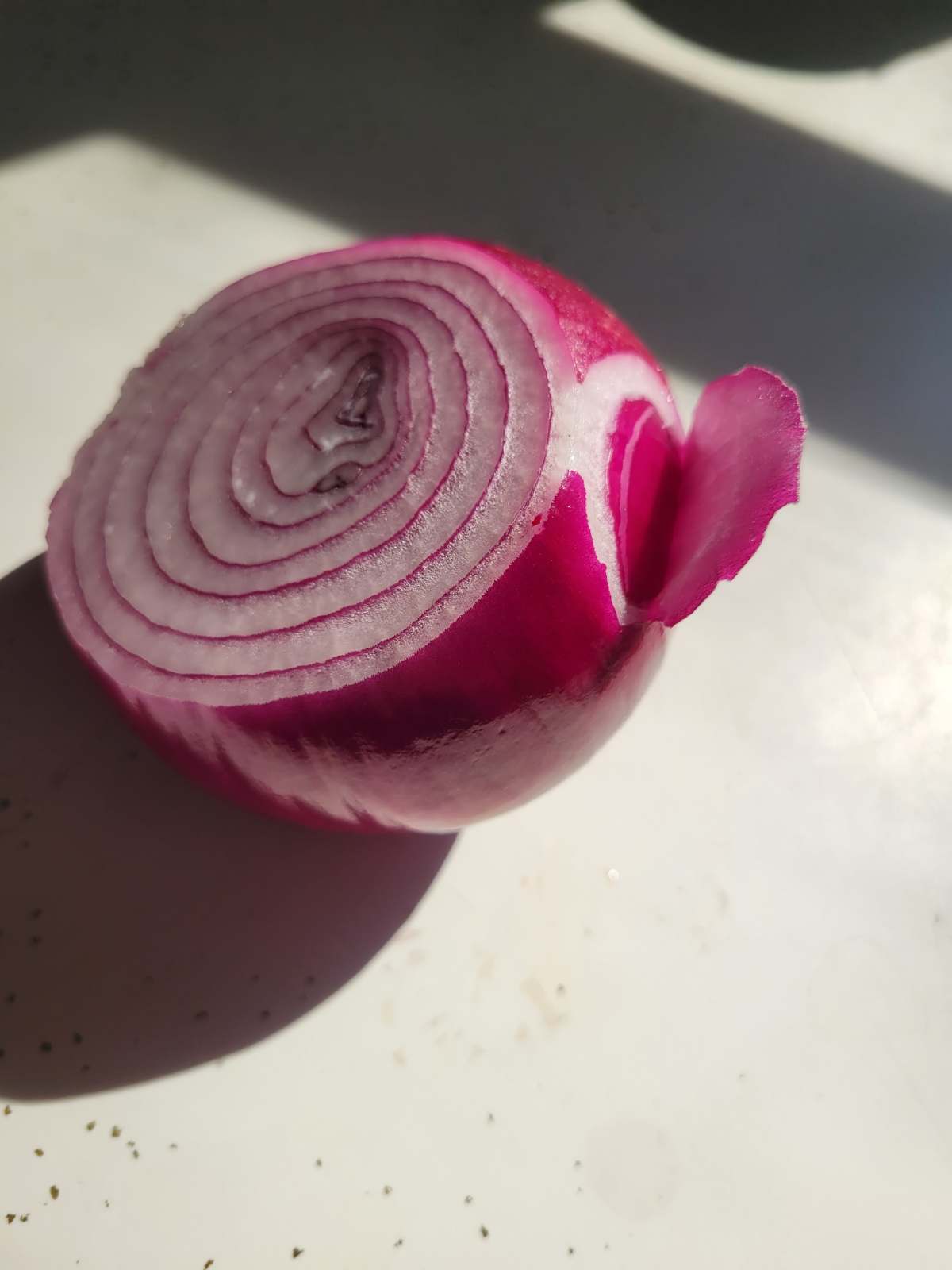 How’s Your Onion/AKA LIFE?